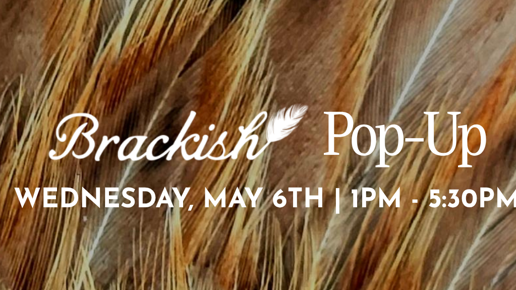 Brackish Pop Up