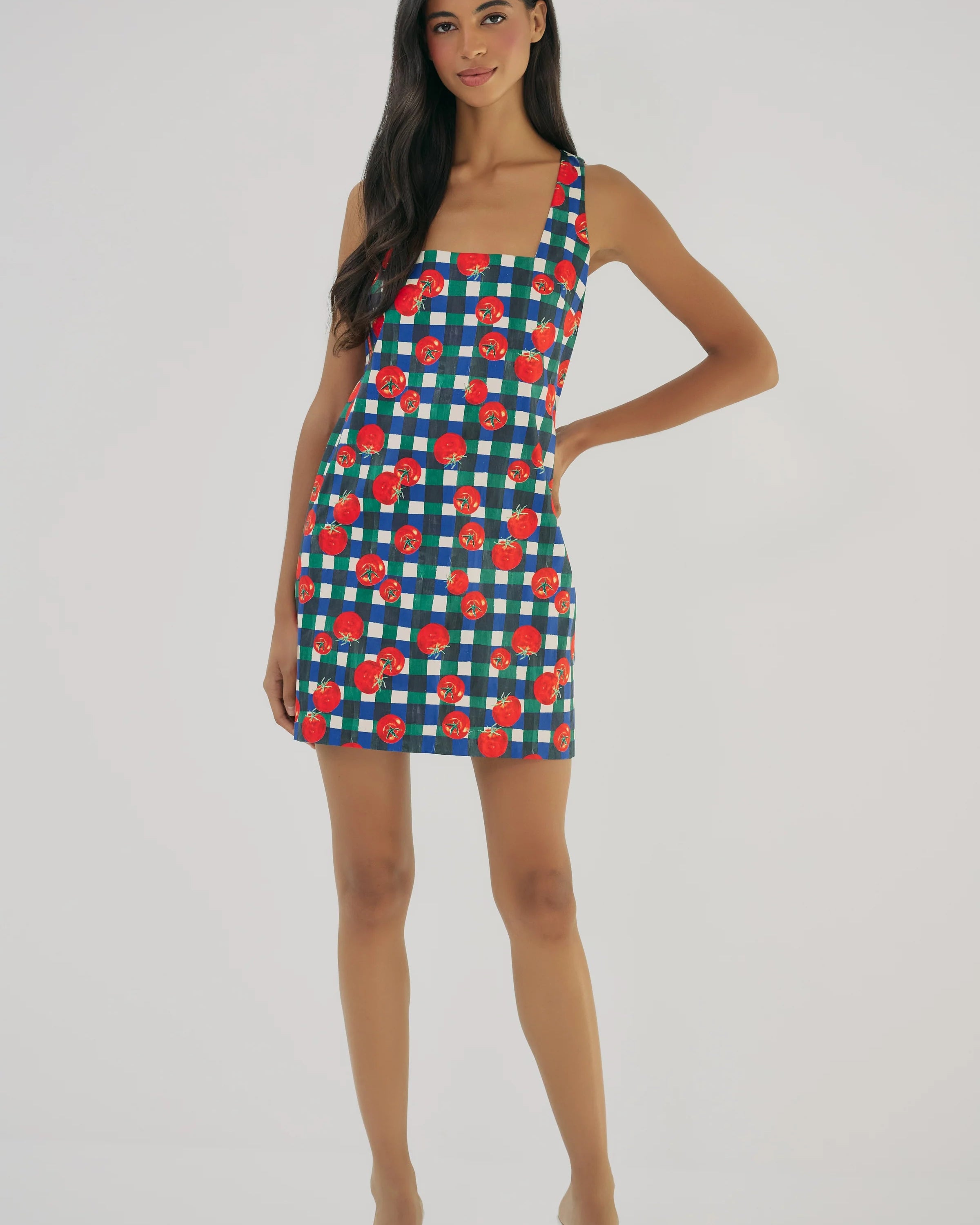 Hutch Sara Dress in Ivory/Multi
