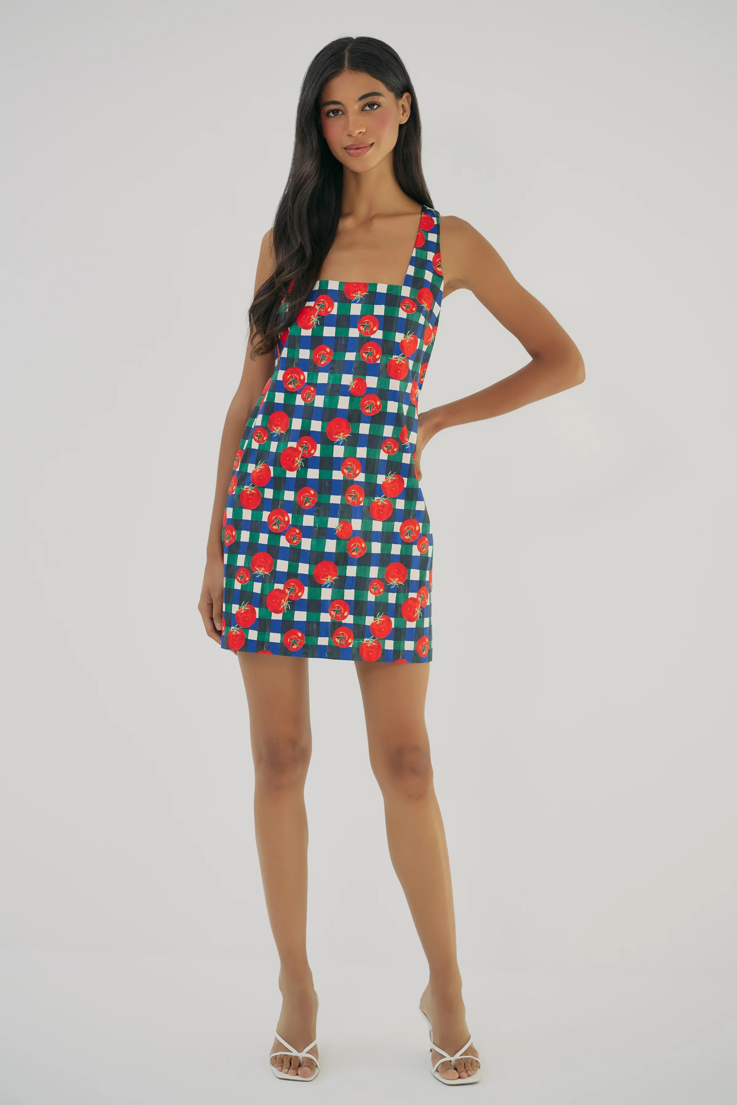 Hutch Sara Dress in Ivory/Multi
