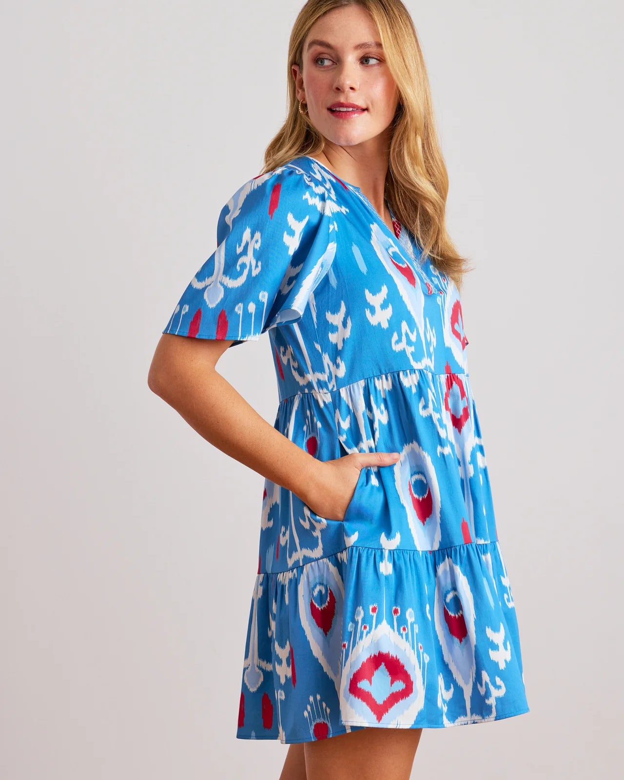 Sheridan French Charlie Dress in Americana Ikat