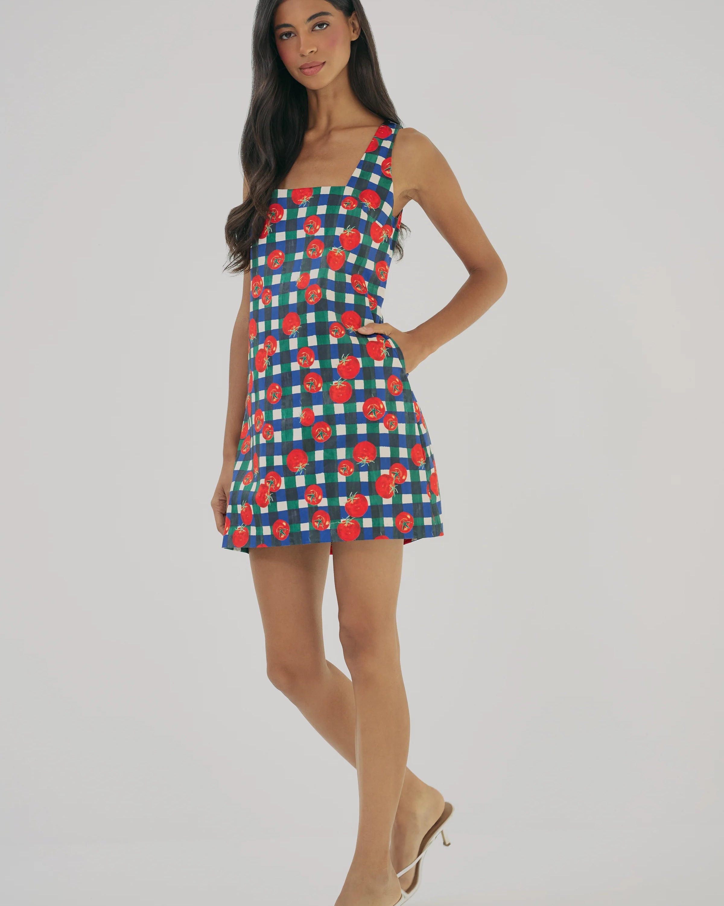 Hutch Sara Dress in Ivory/Multi