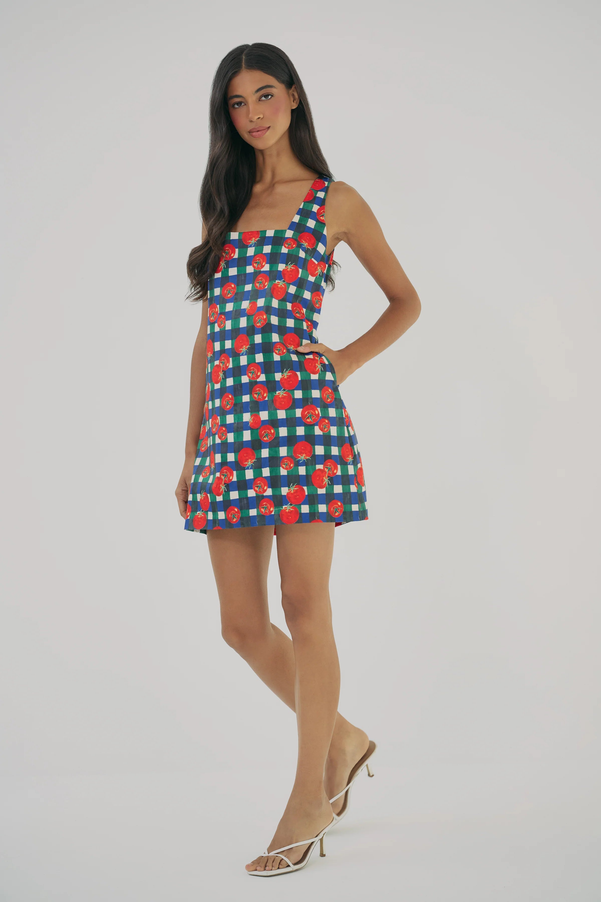 Hutch Sara Dress in Ivory/Multi