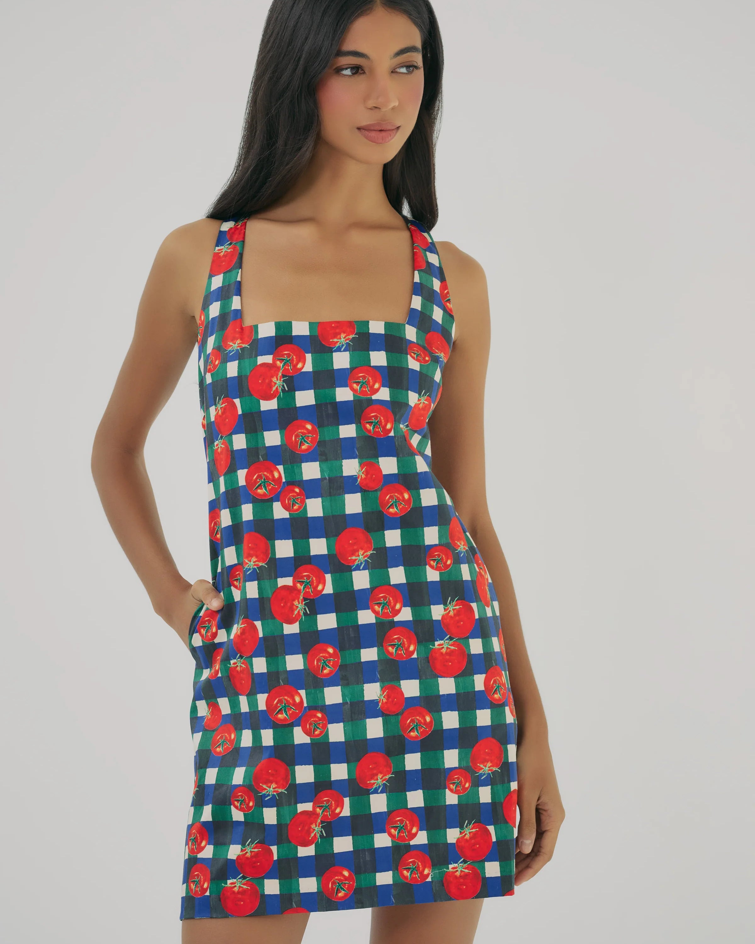 Hutch Sara Dress in Ivory/Multi