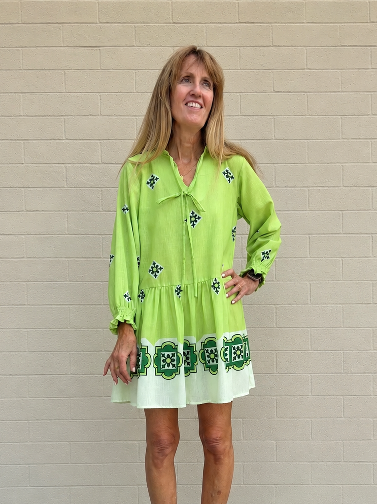 Lavi Nino Mini Dress