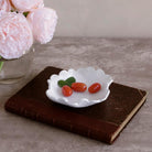 Beatriz Ball VIDA Colette Appetizer Plates in White