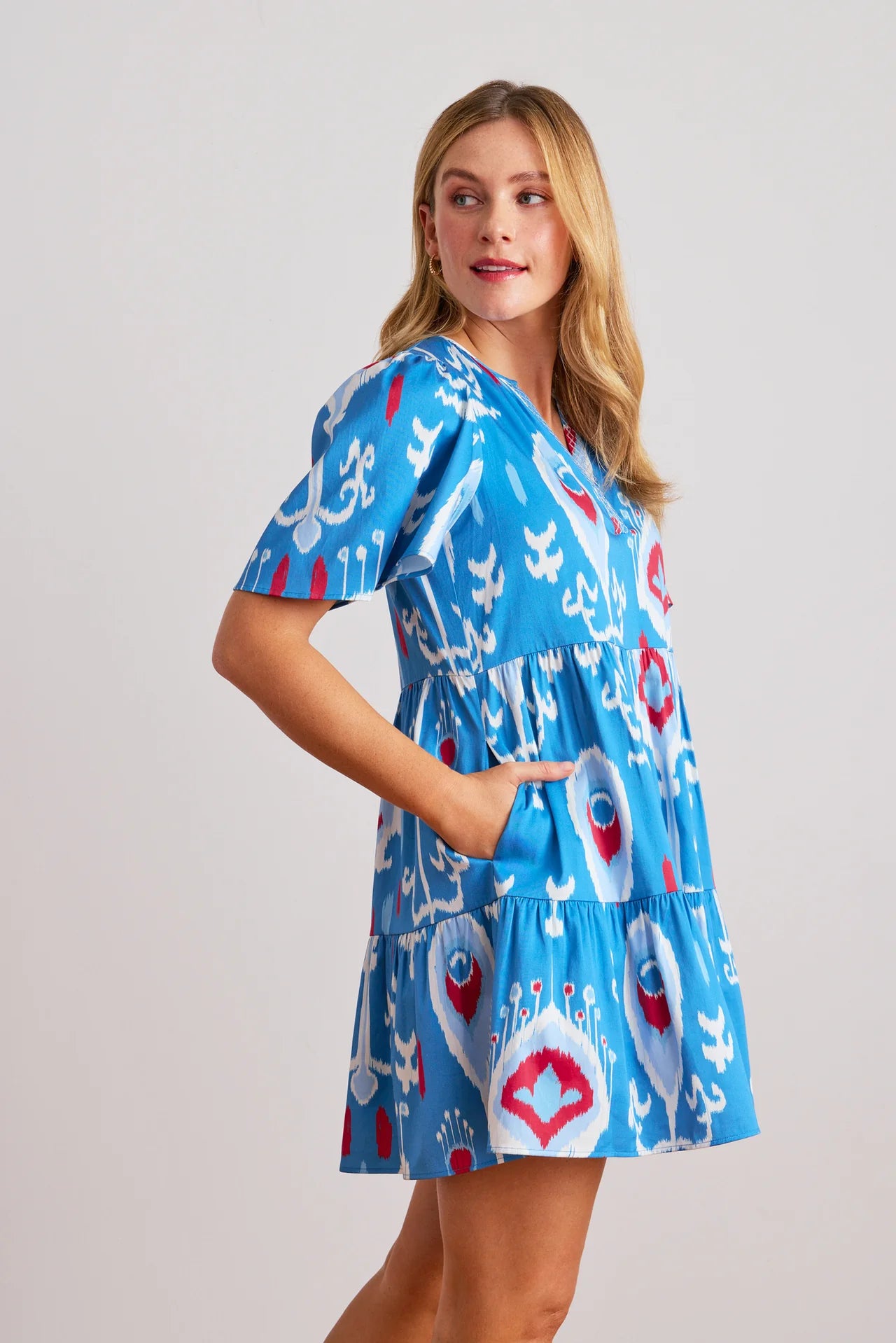Sheridan French Charlie Dress in Americana Ikat
