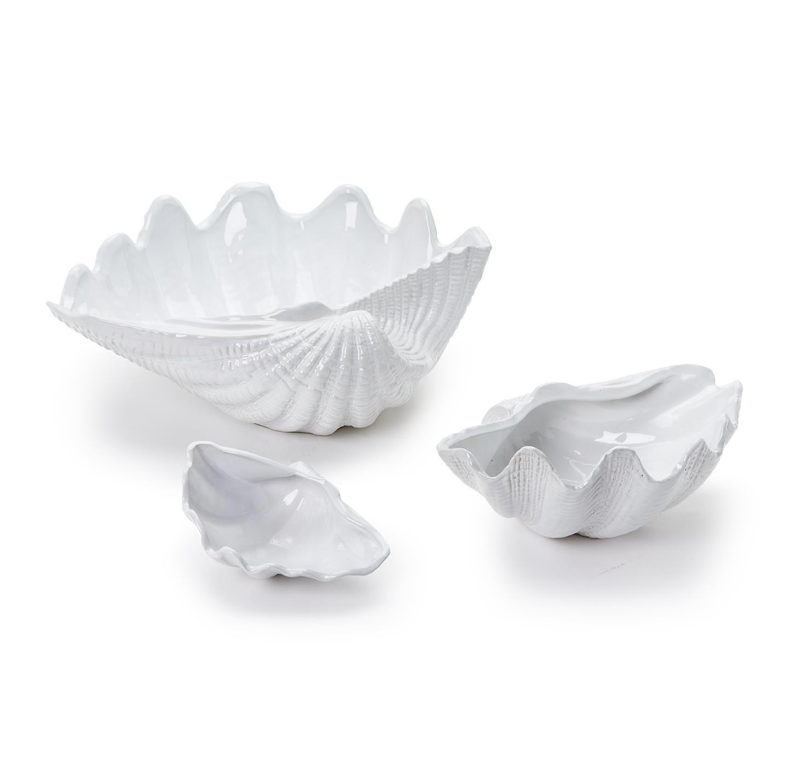 Shell Rhodes Fluted Clam Shells – Rhodes Boutique