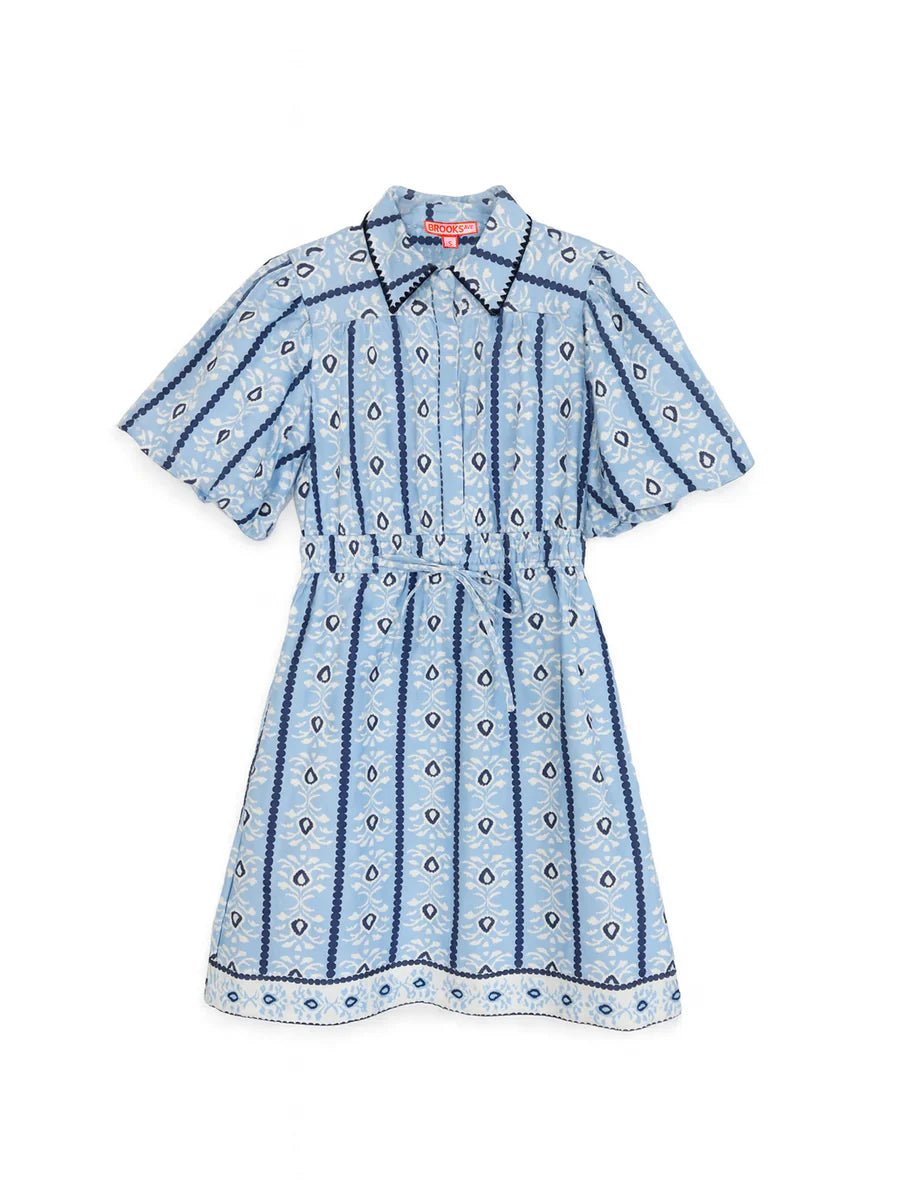 Brooks Ave Banyan Mini Dress in Cabana Stripe Blue