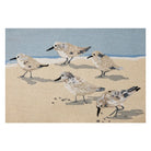 Sandpipers Hook Rug