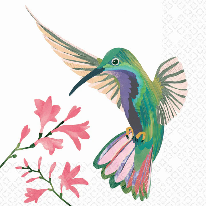 Hummingbird Cocktail Napkin – Rhodes Boutique